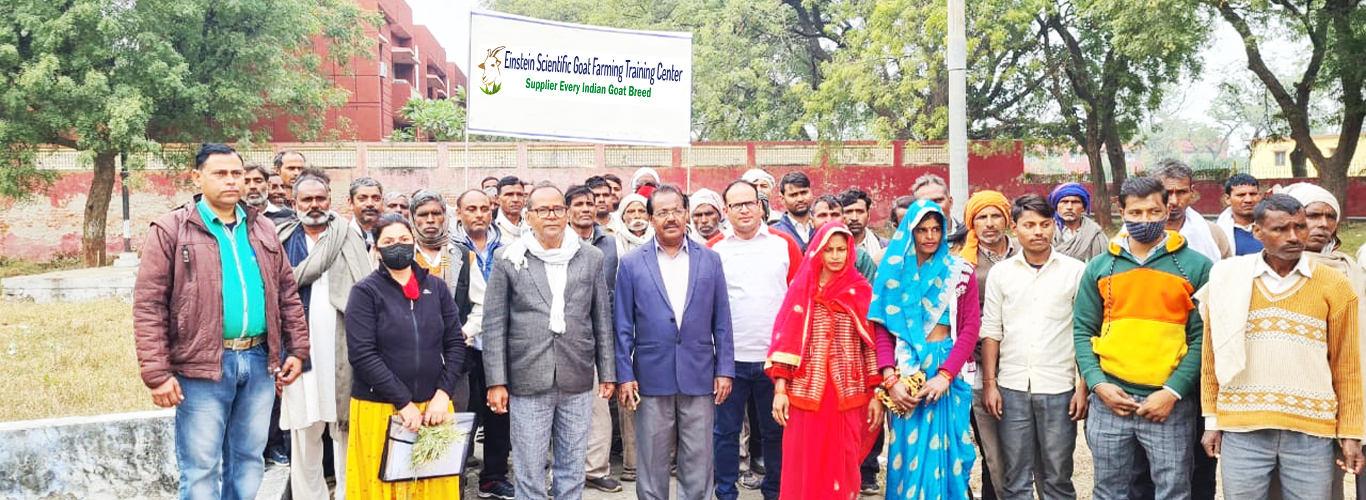 Einstein Scientific Goat Farming Training Center